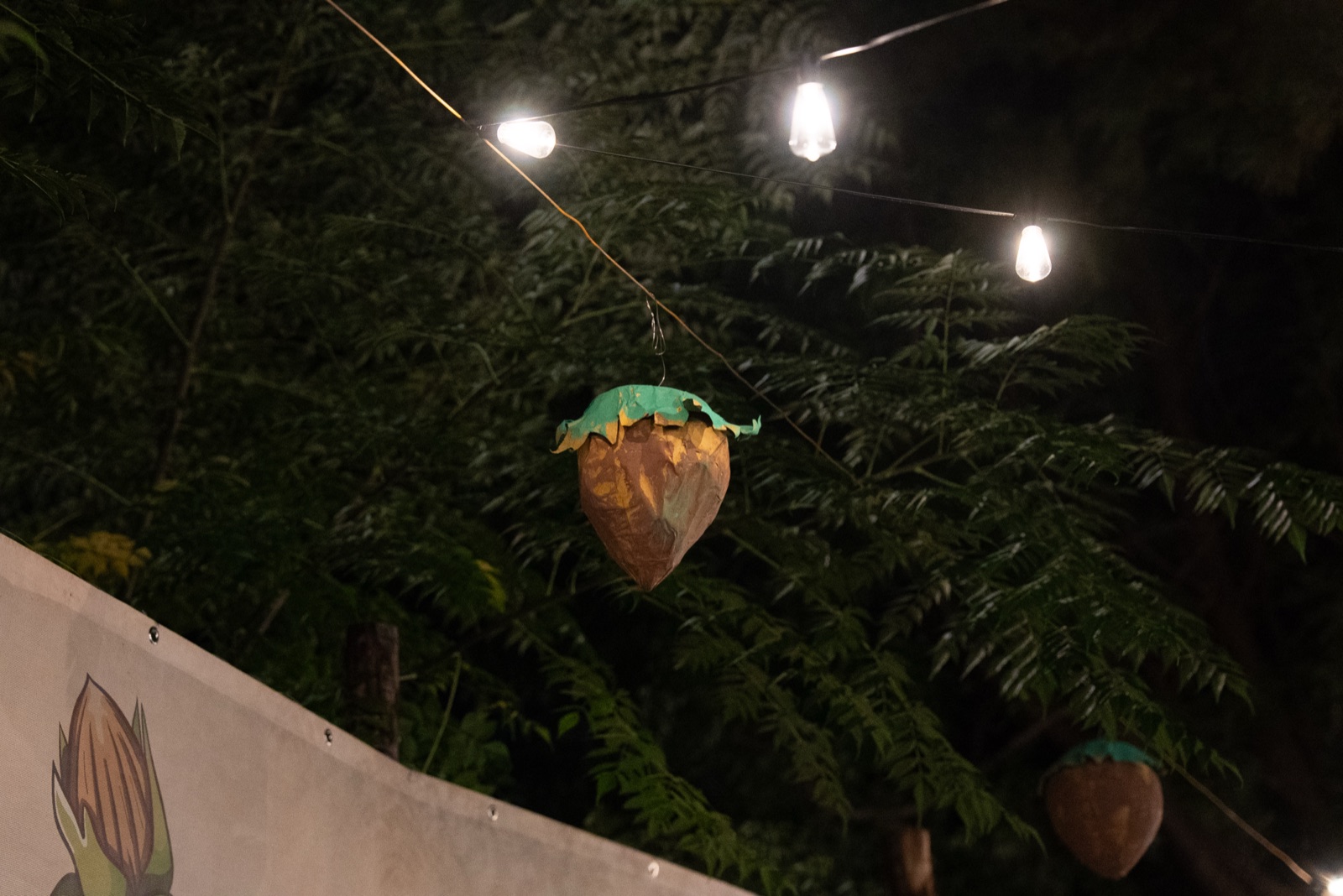 Festa della Nocciola 2025